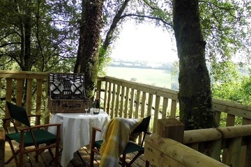 Picnic Platform in the Trees